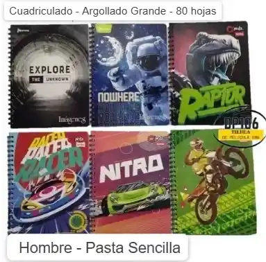 Cuaderno Cuadriculado Argollado Grande Hombre Pasta Sencilla