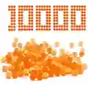Bolitas De Hidrogel X10.000 Unidades