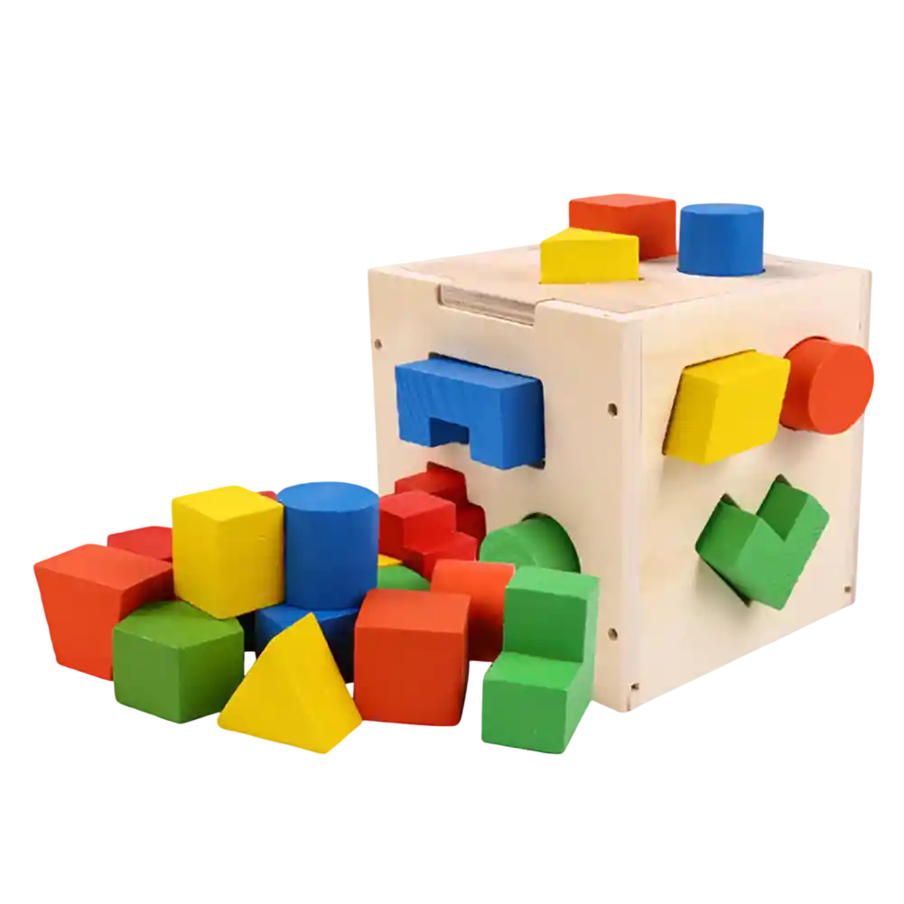 Didactico Cubo De Madera Para Encajar Dm1040