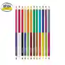 Lápices De Colores Doble Punta 12 Piezas Paper Mate