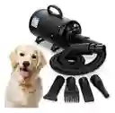 Soplador Secador Para Perros Y Gatos Profesional