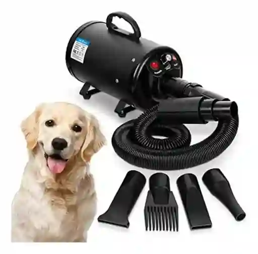Soplador Secador Para Perros Y Gatos Profesional