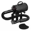 Soplador Secador Para Perros Y Gatos Profesional