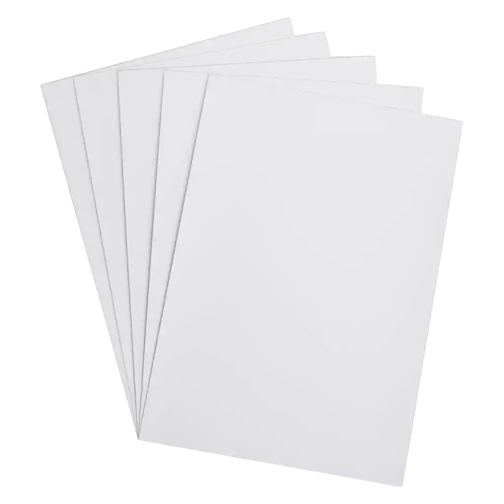 Cartulina Blanca 1/8 Reprograf Paquete X 10 Und.
