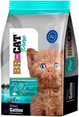 Br For Cat Kitten Salmon 1 Kilo
