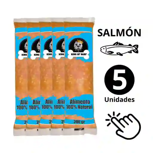 Dieta Barf Salmón X 5und