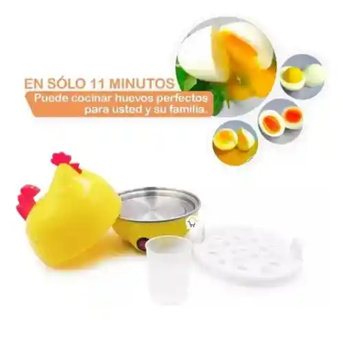 Hervidor De Huevos (gallina)