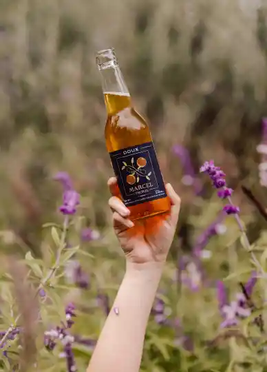Sidra Doux Artesanal 330 Ml