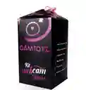 Web Cam Kit Deluxe Camtoyz