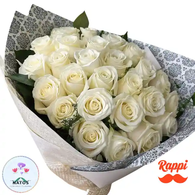 Rosa Blanca X48