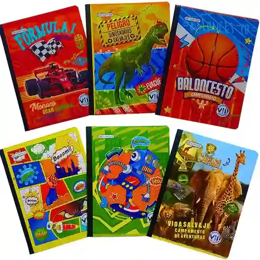 Cuaderno Cosido 100 Hojas/ Masculino
