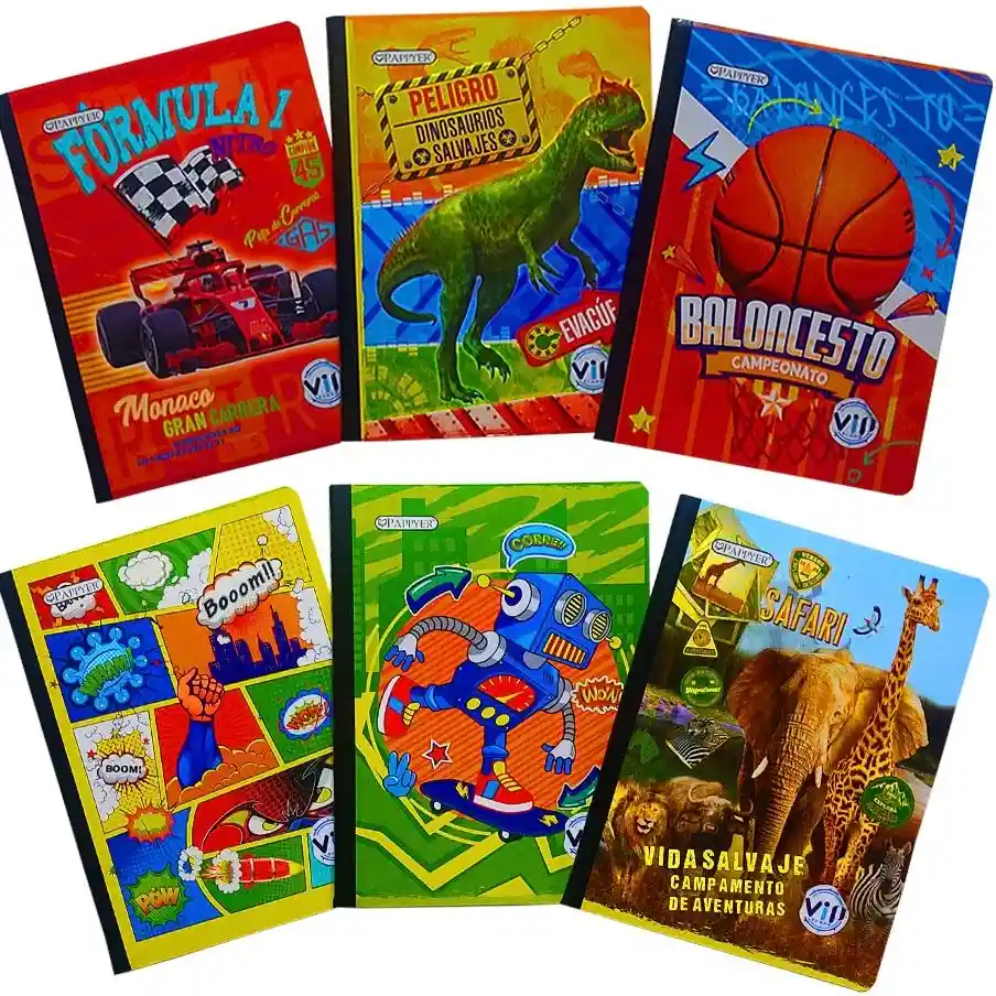 Cuaderno Cosido 100 Hojas/ Masculino