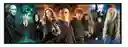 Rompecabezas 1000 Piezas Harry Potter Magia Clementoni