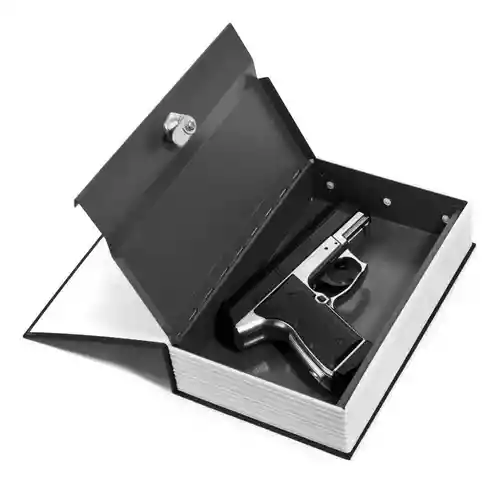 Caja Fuerte Simulando Libro Discreta Seguro 2 Llaves 24 X 15 Cm