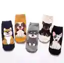 Medias Tobilleras Perrito Schnauzer