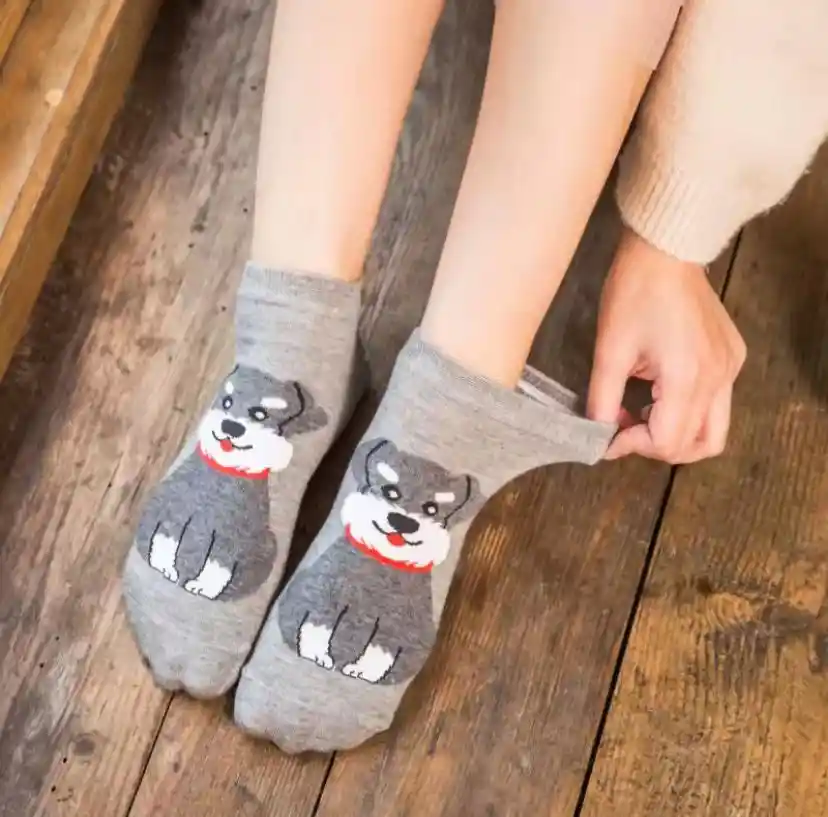 Medias Tobilleras Perrito Schnauzer