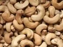 Marañón En Vichada (orinoquía Colombiana)