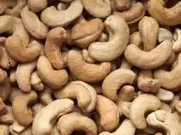 Marañón En Vichada (orinoquía Colombiana)