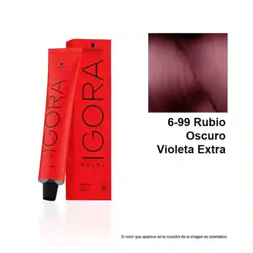 Tinte Igora Royal 6-99