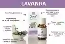 Aceite Esencial De Lavanda 10ml Just