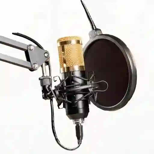 Microfono Condensador Con Base
