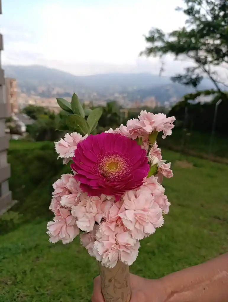 Explosión De Claveles