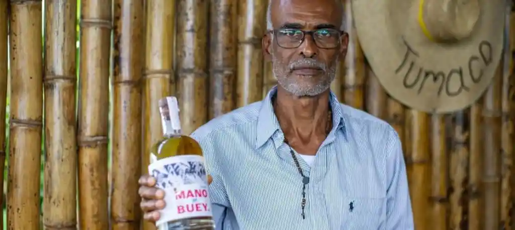 Viche Puro Mano De Buey X 750 Ml