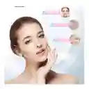 Molde Hielo Facial Silicona