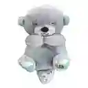 Peluche Nutria Musical Con Movimientos Y Luces Para Bebés Color Gris