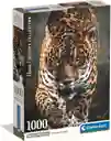 Rompecabezas 1000 Piezas Jaguar Salvaje Clementoni Adultos