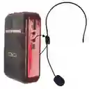 Radio Parlante Portátil Beck Play Sp-012m Con Micrófono Y Pantalla Led