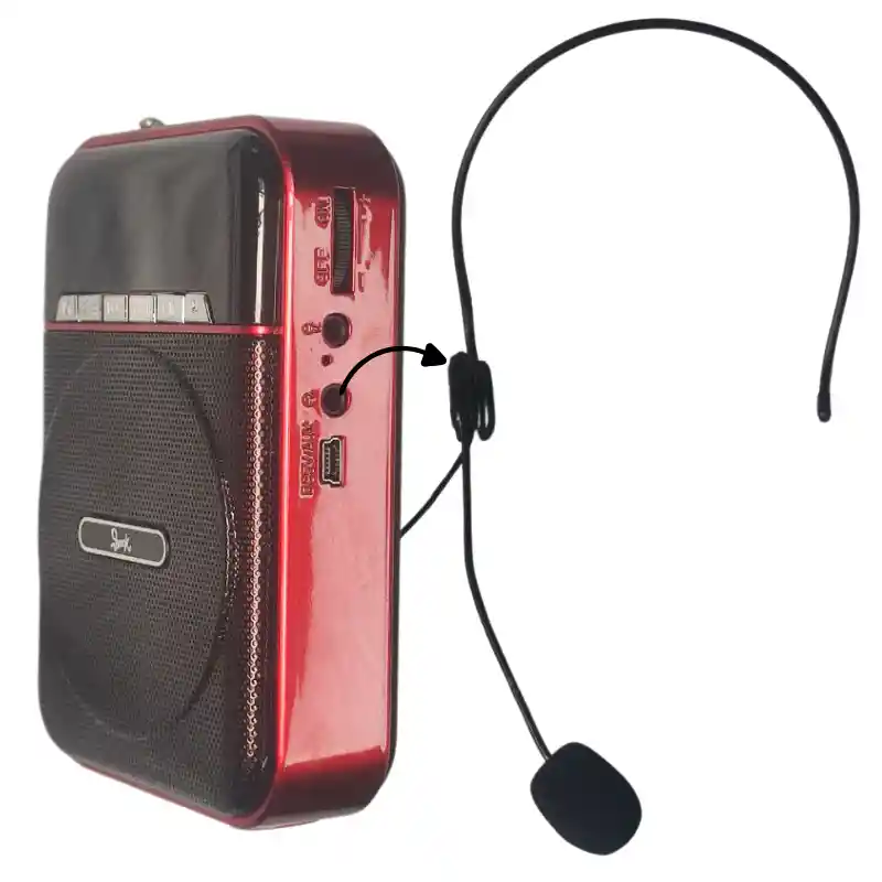 Radio Parlante Portátil Beck Play Sp-012m Con Micrófono Y Pantalla Led