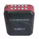 Radio Parlante Portátil Beck Play Sp-012m Con Micrófono Y Pantalla Led