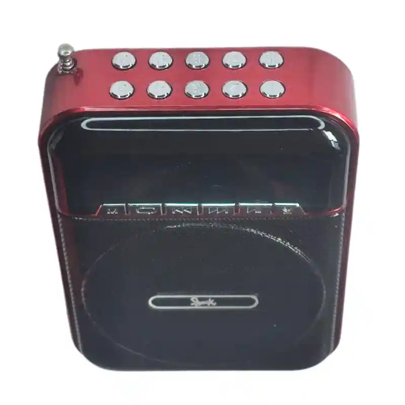 Radio Parlante Portátil Beck Play Sp-012m Con Micrófono Y Pantalla Led