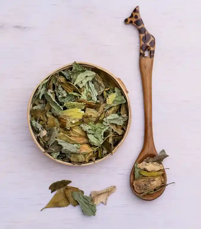 Infusión Ayu | Concentración · Diálogo ·