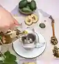 Infusión Ayu | Concentración · Diálogo ·