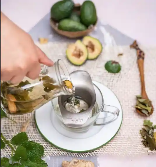 Infusión Ayu | Concentración · Diálogo ·