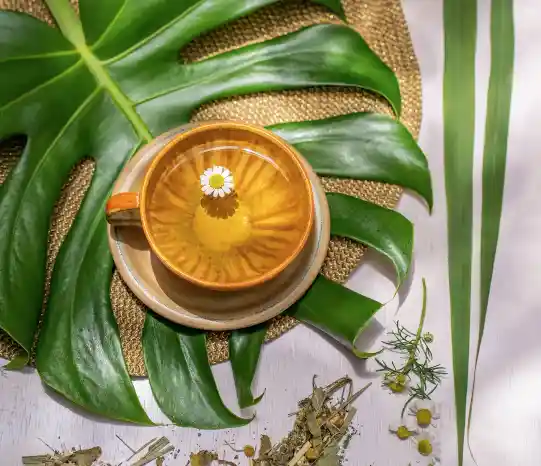 Té Verde Mente Consciente | Claridad Mental · Meditación