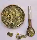 Té Verde Mente Consciente | Claridad Mental · Meditación