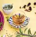 Infusión Brillo Interno | Infecciones Urinarias · Circulación