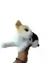 Peluche Gato Manchas