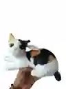 Peluche Gato Manchas