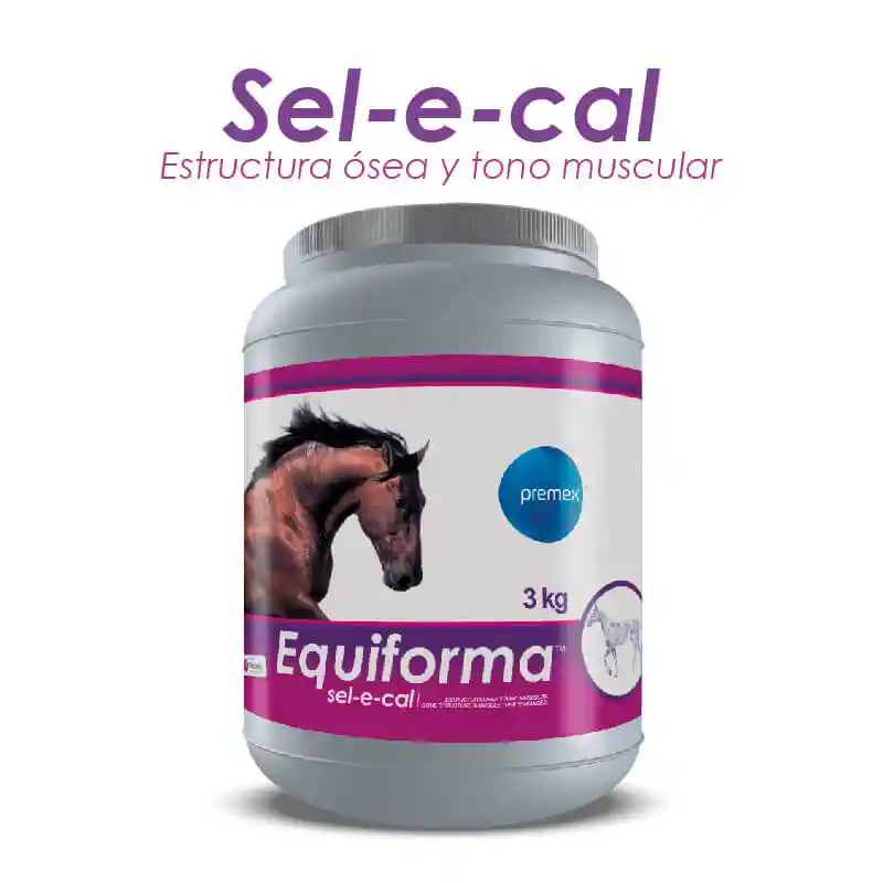 Equiforma Sel E Cal 3 Kg