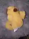 Capibara Con Movimiento