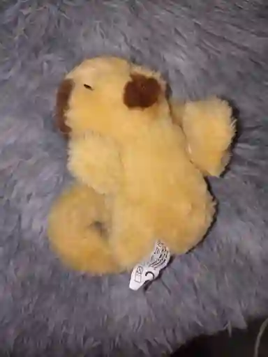 Capibara Con Movimiento