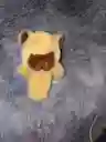 Capibara Con Movimiento