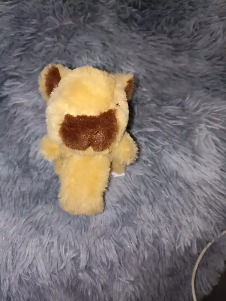 Capibara Con Movimiento