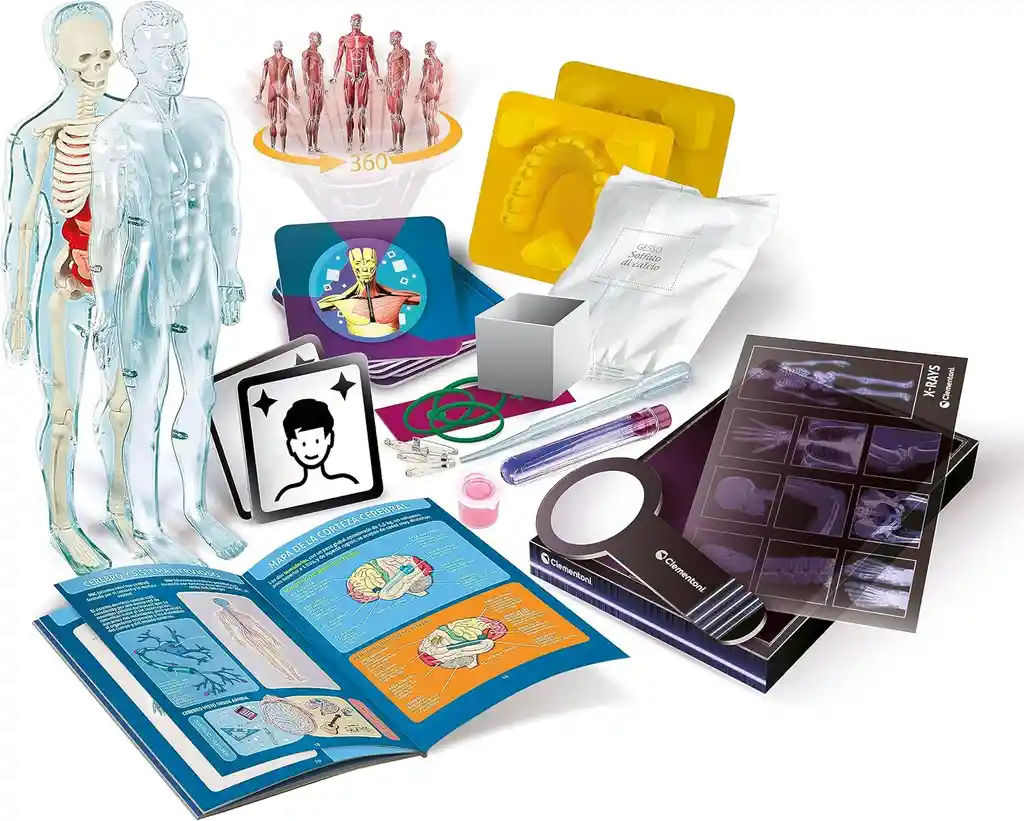 Juego Didáctico Laboratorio De Anatomía Interactivo Niños