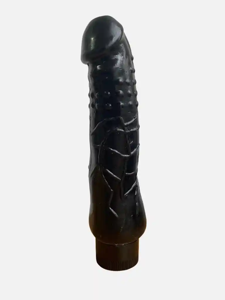 Dildo Vibrador Realista 21cm Miguel