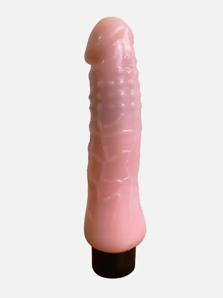 Dildo Vibrador Realista 21cm Miguel